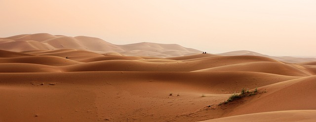 Come organizzare un safari in Africa