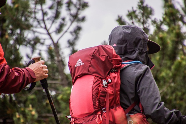 Le scarpe giuste per un’avventura di trekking: i consigli di esperti