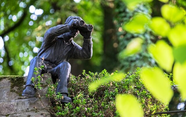 Avvocato penalista, di cosa si occupa se sono stato denunciato per stalking?