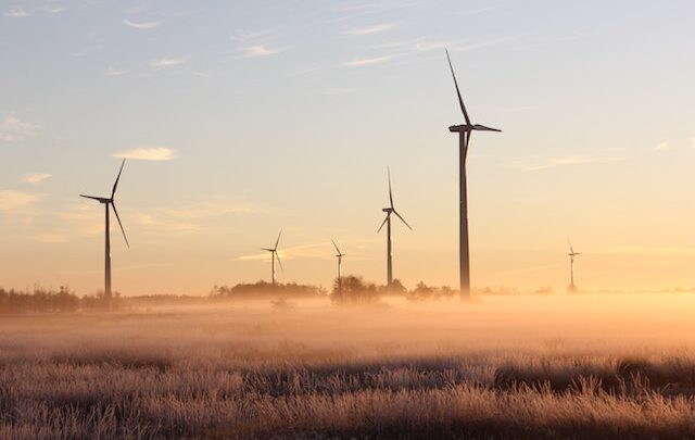 Crescita sostenibile: come raggiungere un equilibrio tra progresso e salvaguardia dell’ambiente