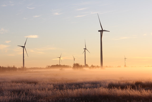 Crescita sostenibile: come raggiungere un equilibrio tra progresso e salvaguardia dell’ambiente