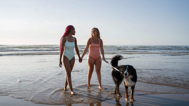 Storie dei clienti: esperienze reali di famiglie con cane